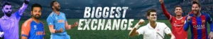 King Exchange id